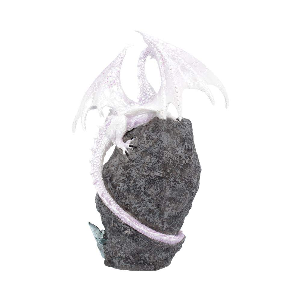 Amazon.co.jp: Nemesis Now Ltd ノベルティドラゴンクリスタルジオード